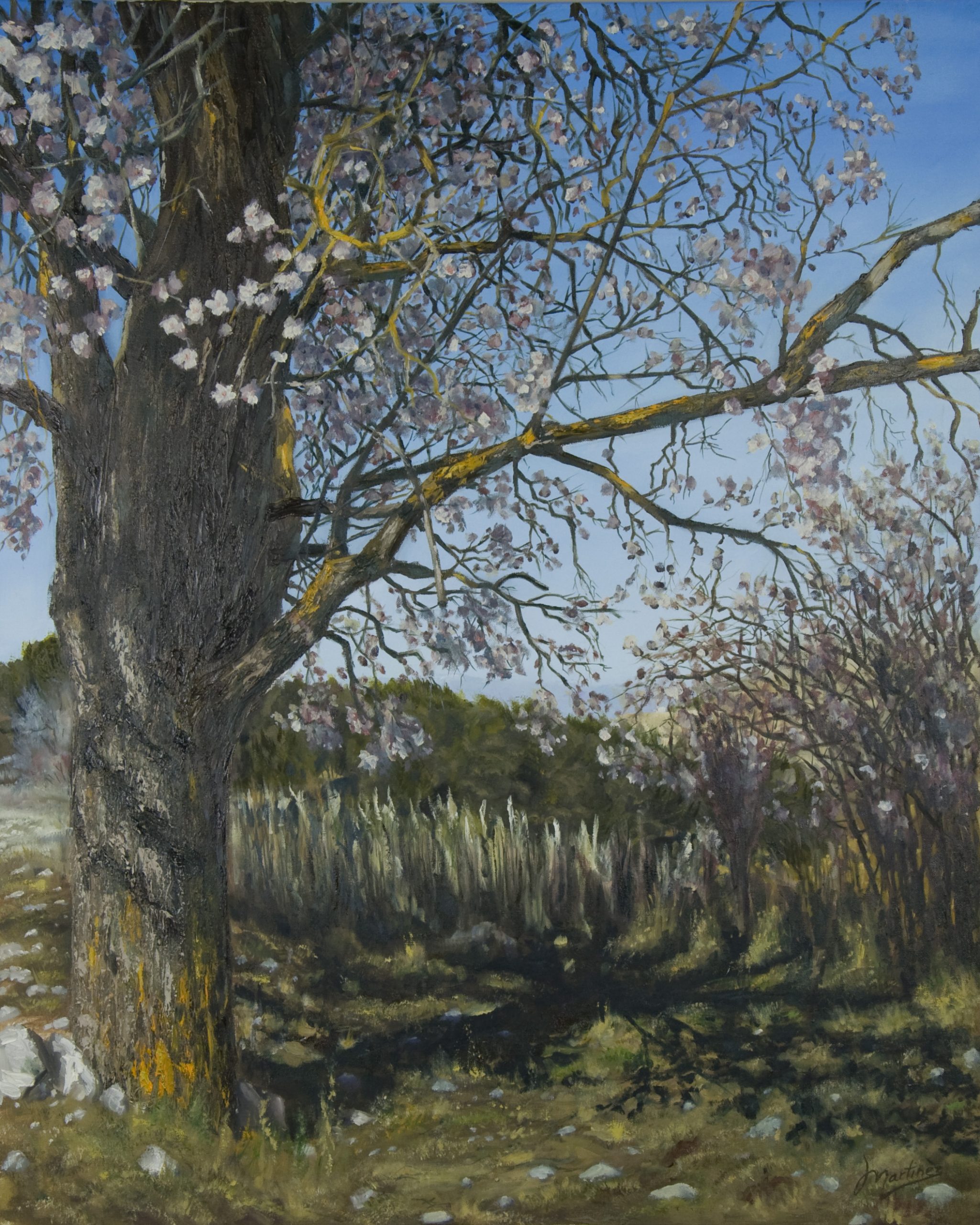 Almendro en flor