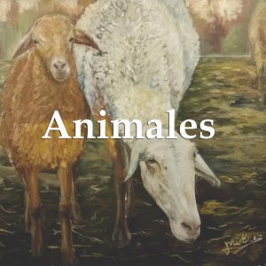 Animales