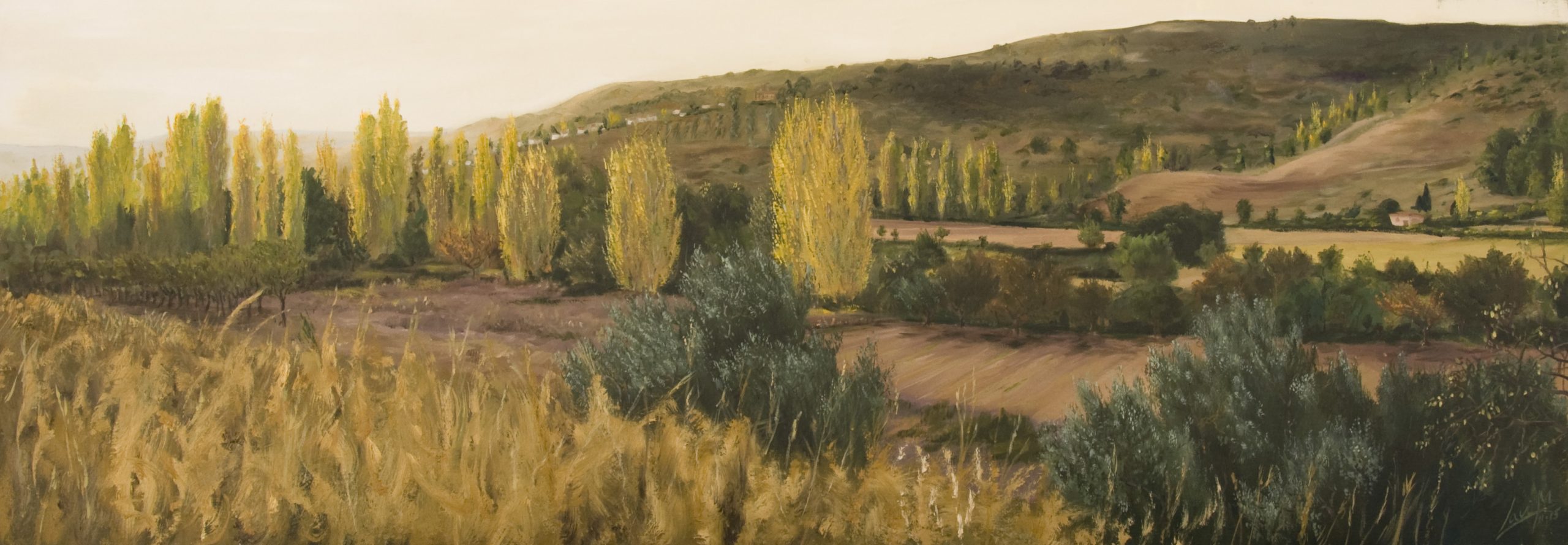 Vega Tajuña