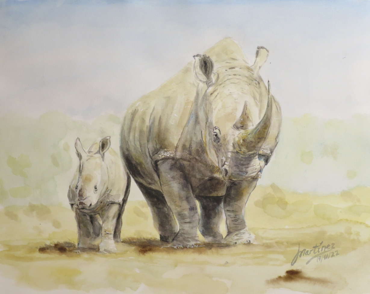Rino family